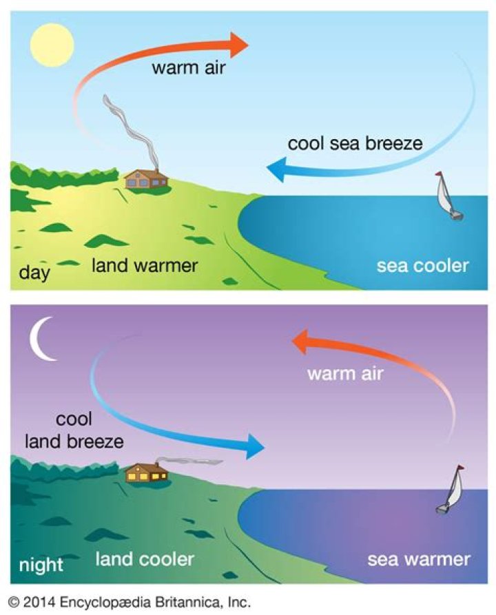 When do sea breezes and land breezes occur?