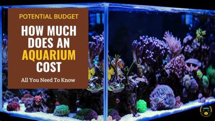 When should you reseal an aquarium?