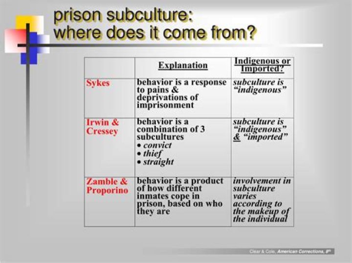 Where do the values of the prison subculture come from