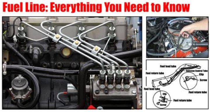 Where does the fuel line go in a generator?