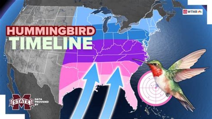 Where in the US do hummingbirds live