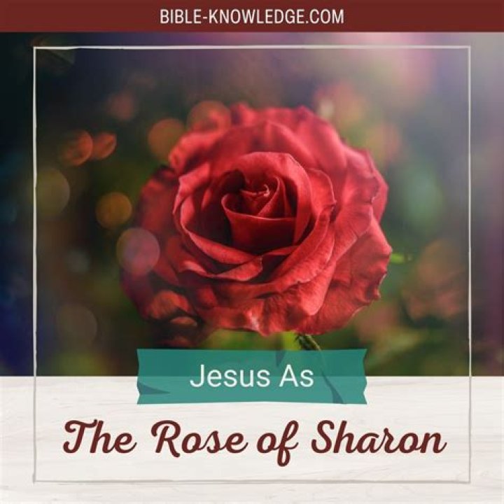 Where is Rose of Sharon native to