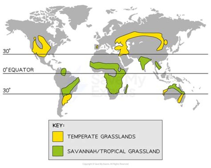 Where is the shrublands biome located