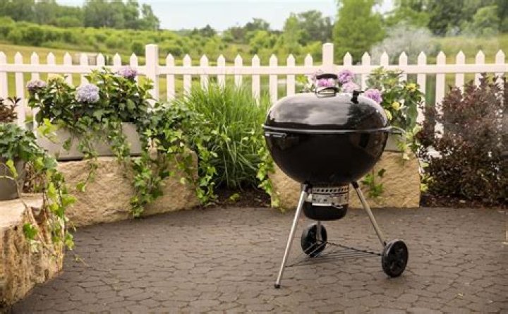Which is the best Weber charcoal grill