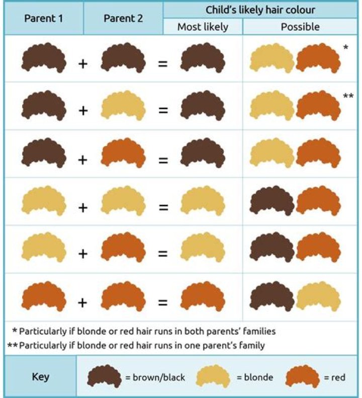 Which parent do you get your hair color from