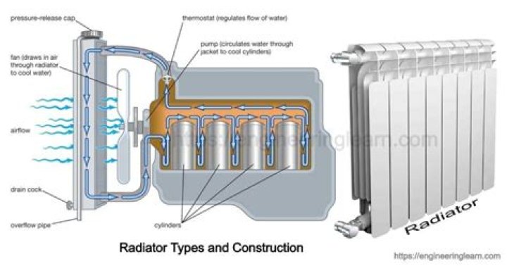 Which radiator hose goes to the thermostat?