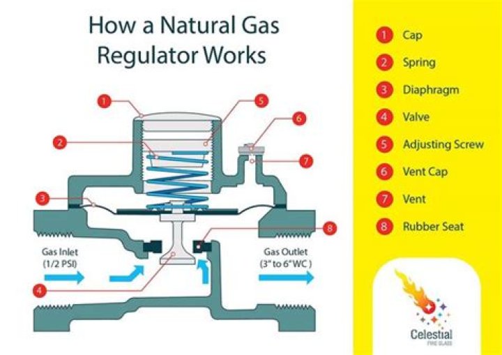 Which type of gas regulator is best?