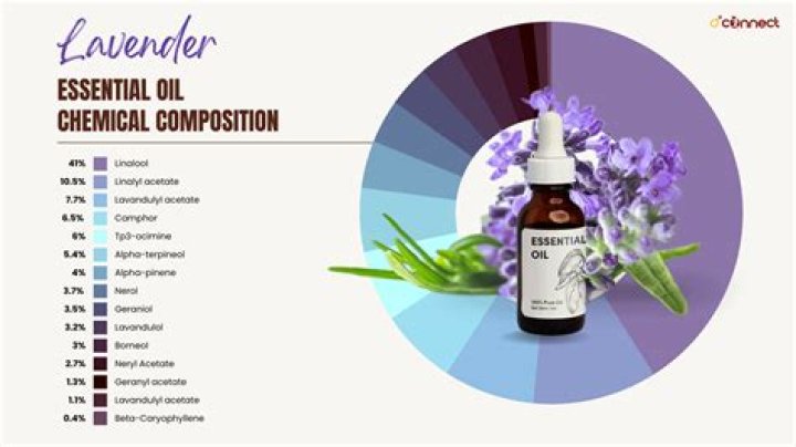 Which type of lavender essential oil is best