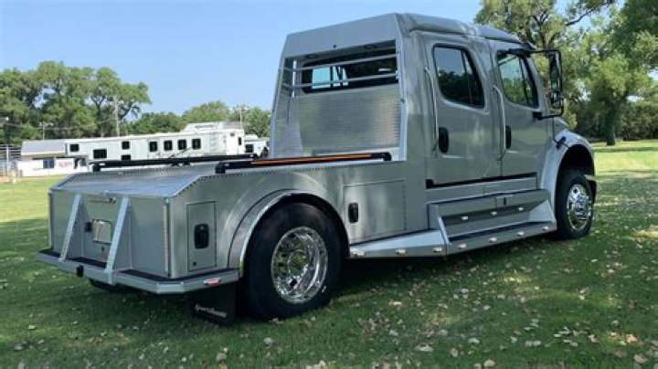 Who are the owners of Freightliner Custom Chassis?