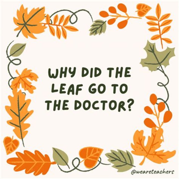 Why are trees so special