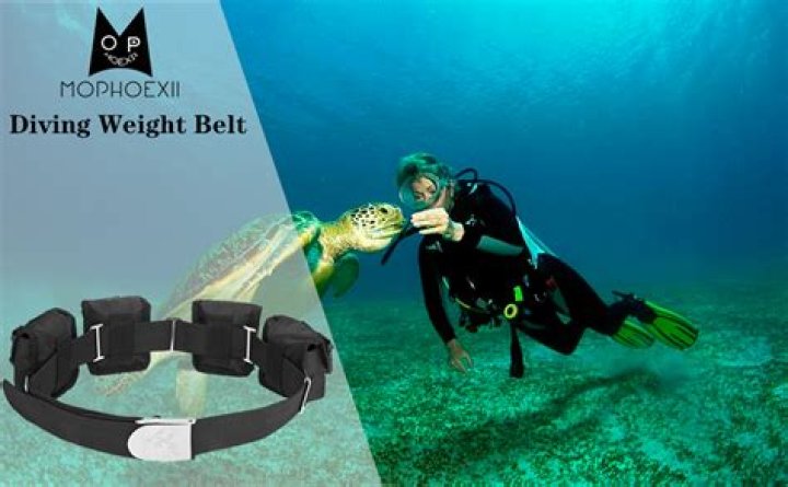 Why do divers wear black?