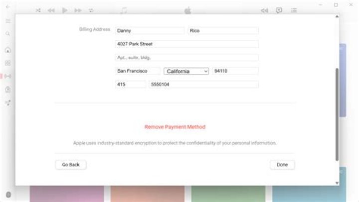 Why do people use promise as a payment method?