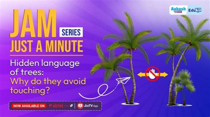 Why do trees Avoid touching