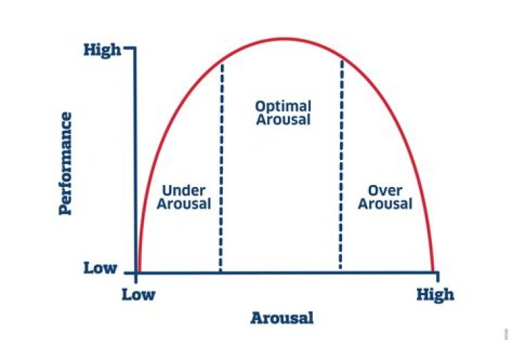 Why do we seek optimal levels of arousal