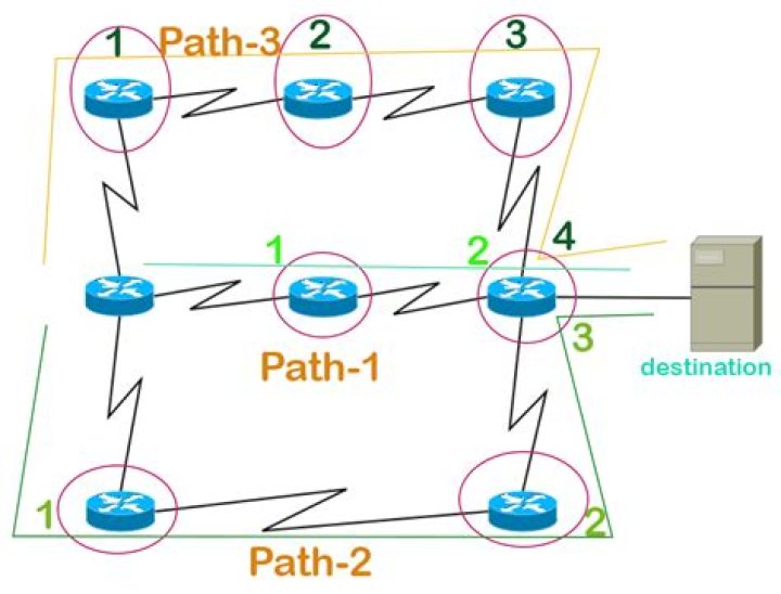 Why does BGP use path vector routing