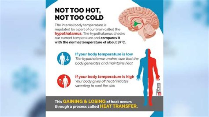 Why does hot sometimes feel cold?