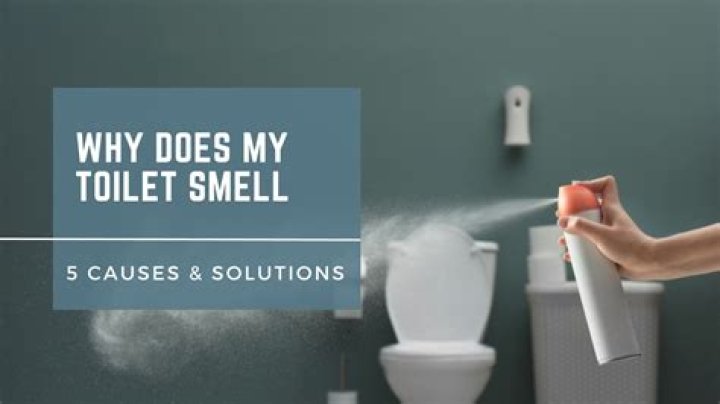 Why does it smell like rotten eggs when I flush my toilet?
