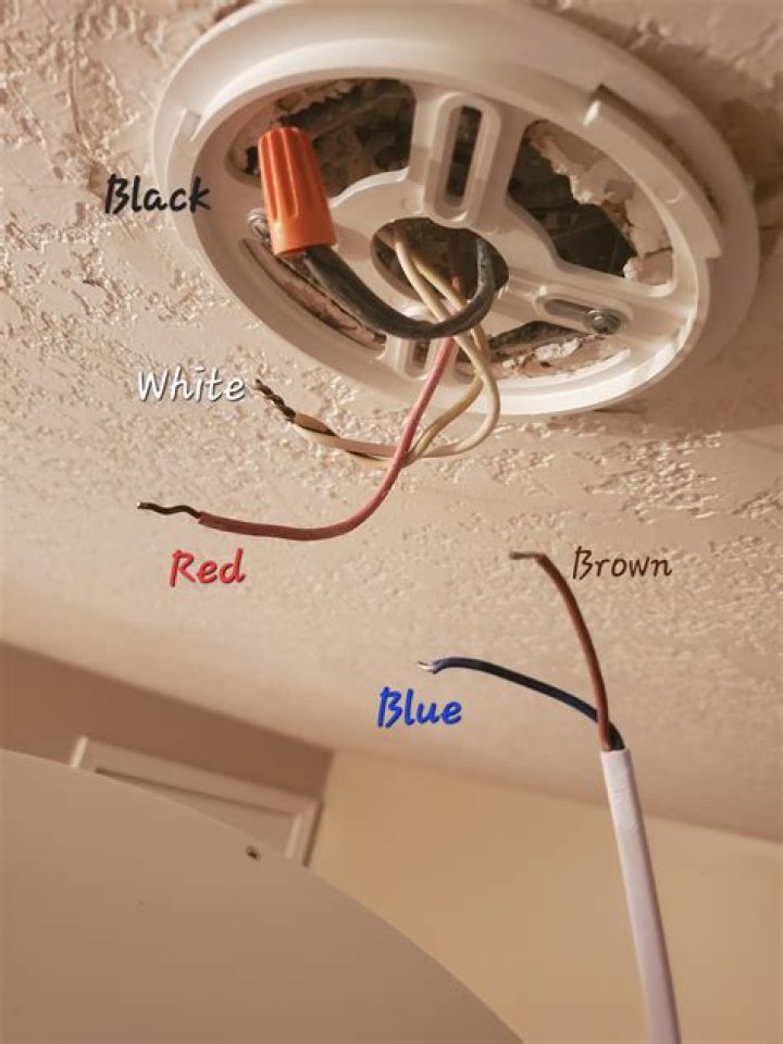 Why does light fixture have two black wires?