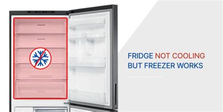Why does my freezer keep running but not freezing?