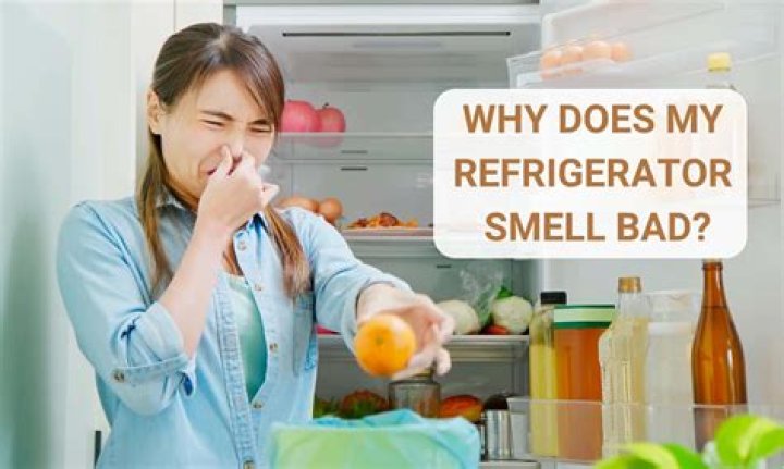 Why does my refrigerator smell