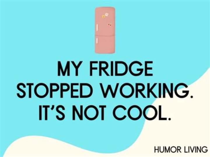 Why has my fridge light stopped working?