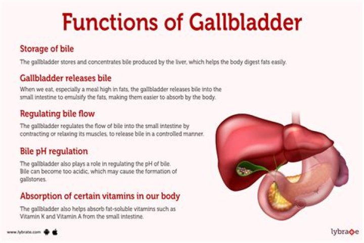 Why is bear gallbladder so valuable