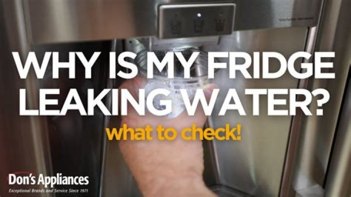 Why is my fridge leaking in my RV?