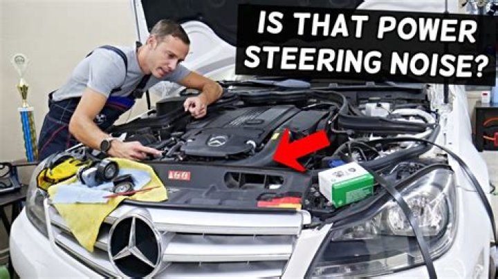 Why is my power steering making a whining noise?