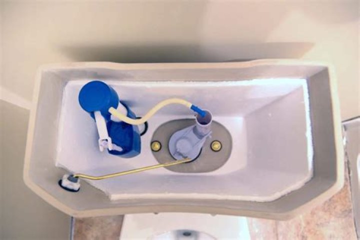 Why is the back of my toilet empty?