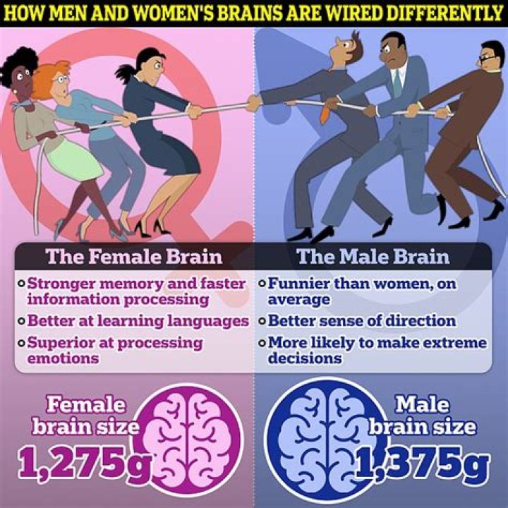 Why is the brain of a woman better than a man?