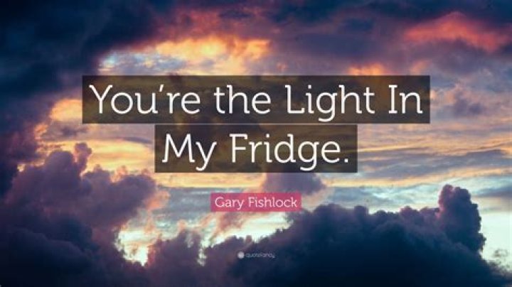 Why is there no light in my fridge?