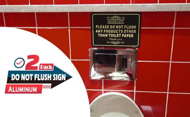 Why will my toilet not flush in my RV?